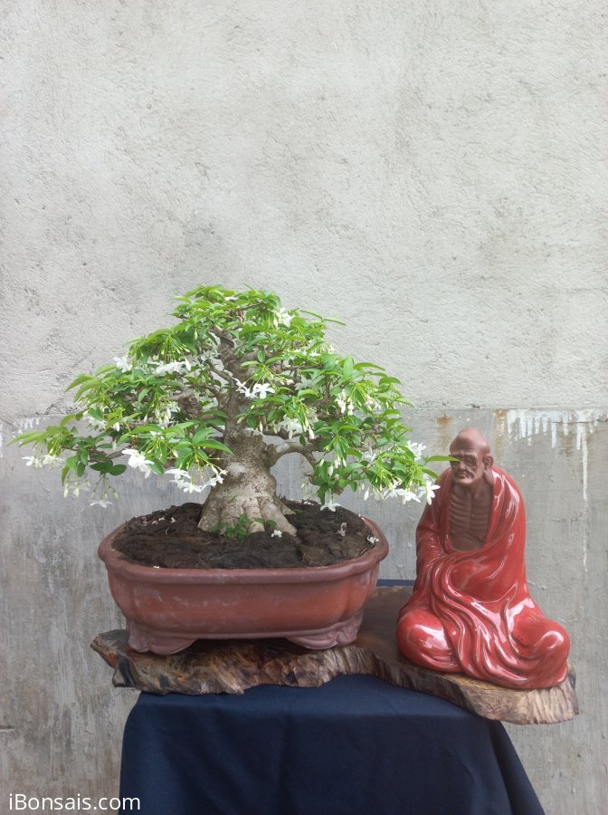 Giao lưa với ae