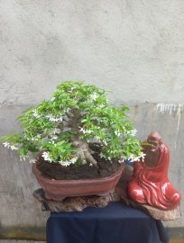 Giao lưa với ae