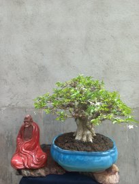 Giao lưu với ae