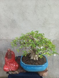 Giao lưu với ae