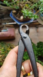 Cạp xéo Masakuni 210mm