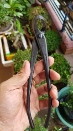 Cạp xéo Masakuni 210mm