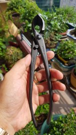 Cạp xéo Masakuni 210mm