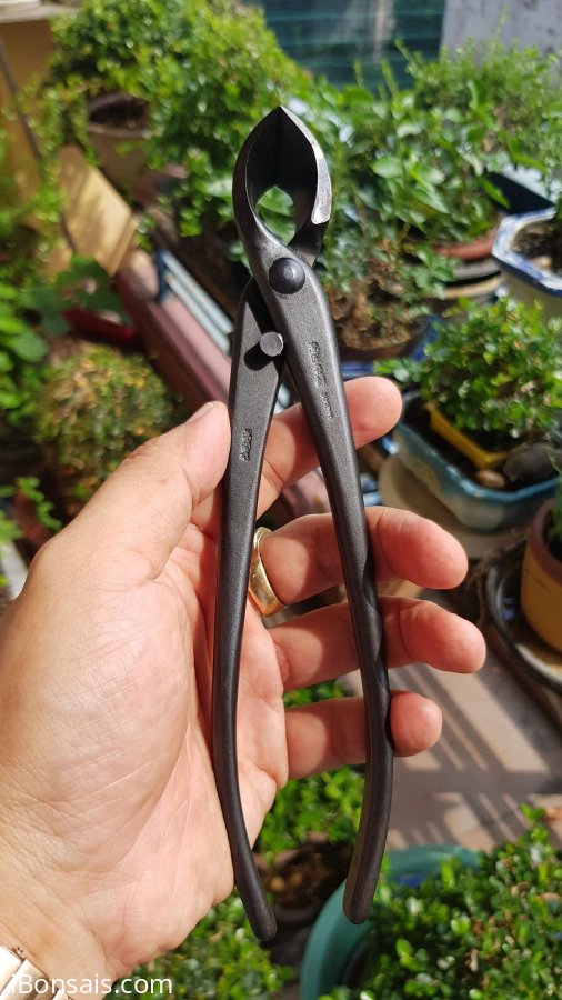Cạp xéo Masakuni 210mm