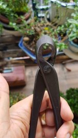 Cạp xéo Masakuni 210mm