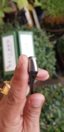 Cạp tròn Kaneshin size15 hiếm gặp