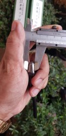 Cạp tròn Kaneshin size15 hiếm gặp