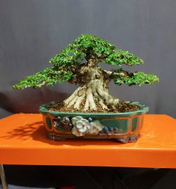 Sam hương 0915857539