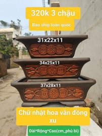 Dọn kho ít chậu 299k free ship