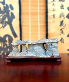 Vietnam Suiseiki