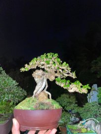 Sam núi khai thác,mini cầm tay