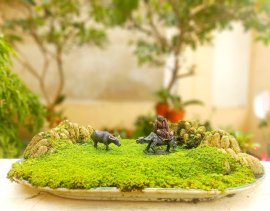 Lý tưởng càng đơn giản càng hạnh phúc