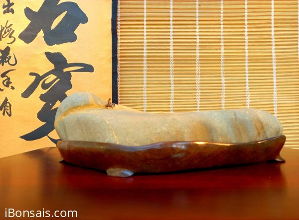 Dưới 1 củ cụ thể vài trăm k bao đẹp chơi được lưỡng diện