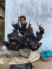 Long ở nhà người và Long về nhà em