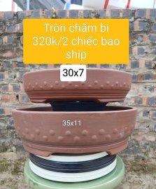 Mẫu chậu tròn