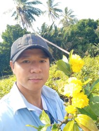 Vườn còn mấy ngàn cây mai ghép gốc nhớt hơn 3 mùa