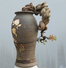 Lộc vừng mini