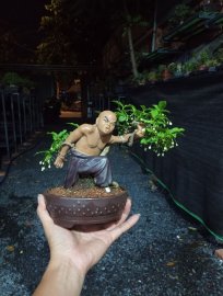 Mai chiếu thủy mini