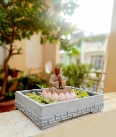 Nuôi vài bé cá tung tăng bơi lội cũng phiêu ae nhỉ?