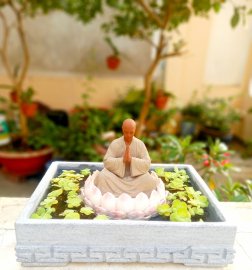 Nuôi vài bé cá tung tăng bơi lội cũng phiêu ae nhỉ?