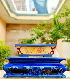 Kỷ đẹp nha ae. Phiên bản giới hạn cực hiếm