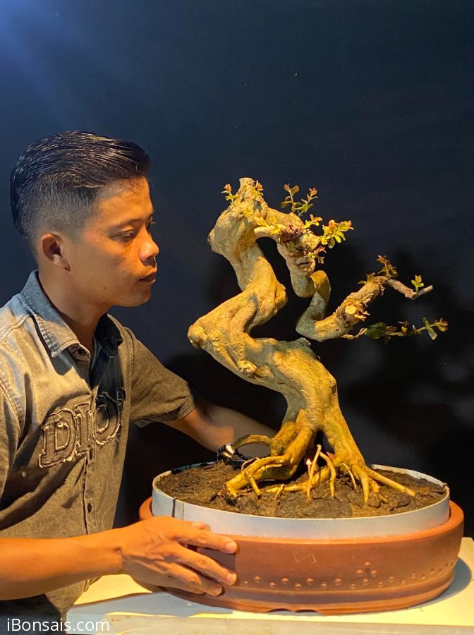 Tường Vi co lắc các kiểu con đà điểu