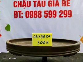 Chậu tàu giá rẻ từ 300k đến 450k