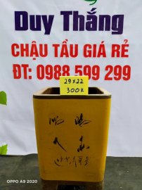Chậu tàu giá rẻ từ 300k đến 450k