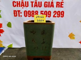Chậu tàu giá rẻ từ 300k đến 450k