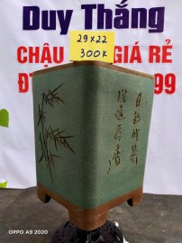 Chậu tàu giá rẻ từ 300k đến 450k