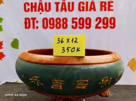 Chậu tàu giá rẻ từ 300k đến 450k