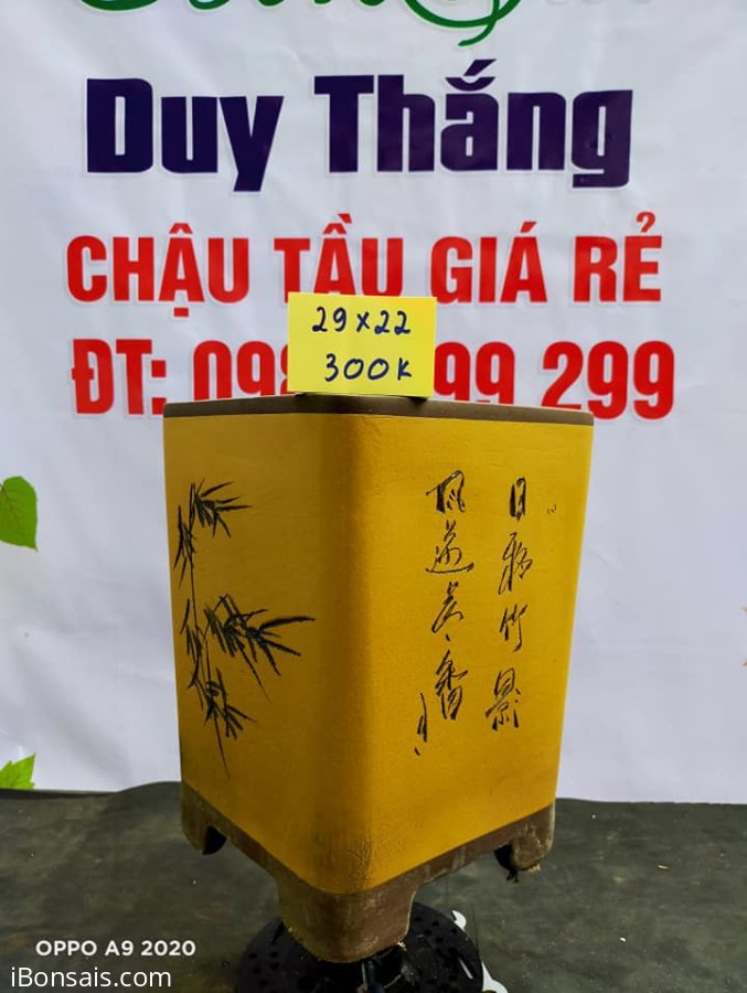 Chậu tàu giá rẻ từ 300k đến 450k