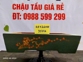 Chậu tàu giá rẻ từ 300k đến 450k