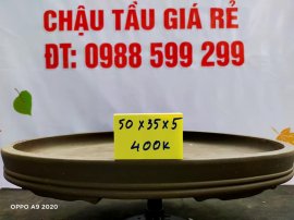 Chậu tàu giá rẻ từ 300k đến 450k