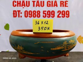 Chậu tàu giá rẻ từ 300k đến 450k