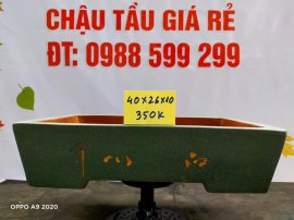 Chậu tàu giá rẻ từ 300k đến 450k