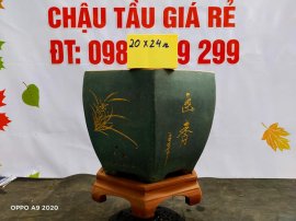 Chậu tàu giá rẻ từ 500k đến 600k