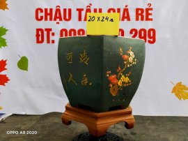 Chậu tàu giá rẻ từ 500k đến 600k