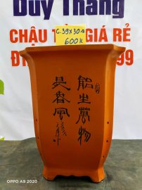 Chậu tàu giá rẻ từ 500k đến 600k