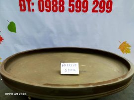Chậu tàu giá rẻ từ 500k đến 600k
