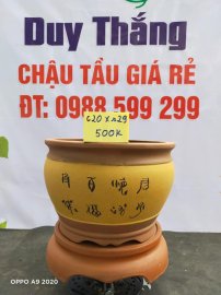 Chậu tàu giá rẻ từ 500k đến 600k