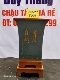 Chậu tàu giá rẻ từ 500k đến 600k