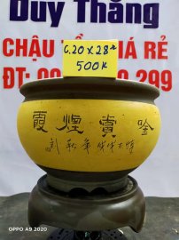 Chậu tàu giá rẻ từ 500k đến 600k
