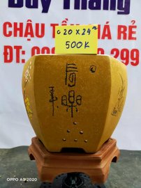 Chậu tàu giá rẻ từ 500k đến 600k
