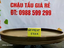 Chậu tàu giá rẻ từ 500k đến 600k
