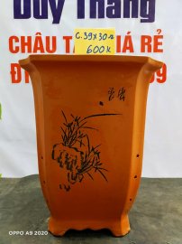 Chậu tàu giá rẻ từ 500k đến 600k