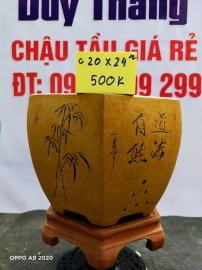 Chậu tàu giá rẻ từ 500k đến 600k