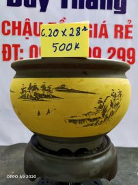 Chậu tàu giá rẻ từ 500k đến 600k
