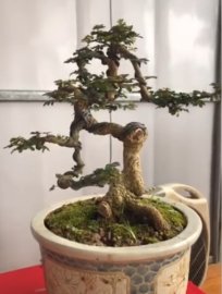 Tác phẩm cần thăng