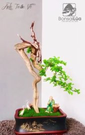 Chân dài uyển dáng thước tha